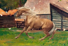 Horse On Farm Background
