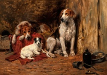 Hounds And A Jack Russell