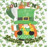 St. Patrick&039;s Day Gnome