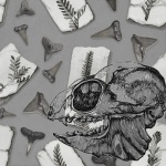 Fossil Animal Skeleton Montage