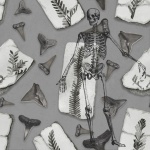 Fossil Human Skeleton Montage