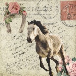 Vintage Horse Postcard