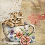 Vintage Kitten In A Tea Cup