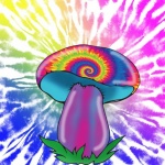 Hippie Tie-dye Retro Mushroom