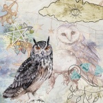 Vintage Mystic Owl