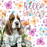 Spring Basset Hound Dog