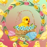 Easter Chicks And Ducklings
