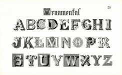 Calligraphy Alphabet Letters