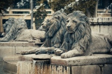 Lion Statues Fountain