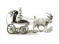 Easter Bunny Easter Illustration