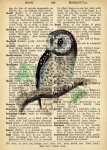 Owl Vintage Dictionary Page