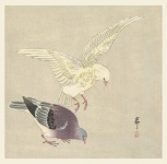Pigeon Japanese Vintage Art
