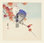 Pigeon Japanese Vintage Art