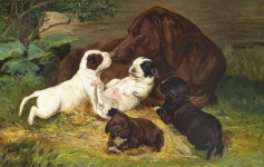 Pointer Puppy Dogs Vintage Art