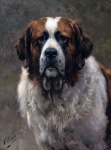 Saint Bernard Dog Vintage Art