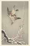 Sparrow Japanese Vintage Art