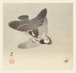 Sparrow Japanese Vintage Art