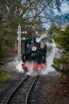 Steam Train, Tourist