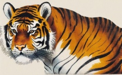 Tiger Face Vintage Art