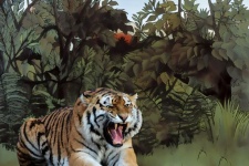 Tiger Jungle Illustration