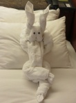 Towel Rabbit On Carnival Cruise