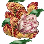 Tulip Pattern Seamless