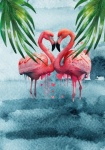 Two Flamingos Illustration