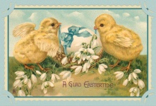 Vintage Easter Chicks Card