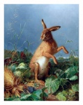 Vintage Brown Hare Art