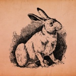 Vintage Illustration Rabbit Bunny