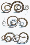 Vintage Illustration Snakes