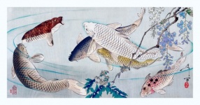 Vintage Koi Carp Fish