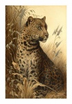 Vintage Art Leopard Cat