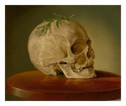 Vintage Skull Anatomy Art