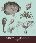 Vintage Sea Creatures Set