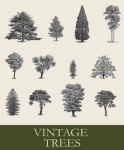 Vintage Trees Victorian Set