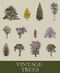 Vintage Trees Victorian Set