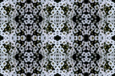 Wallpaper Pattern With White Flower