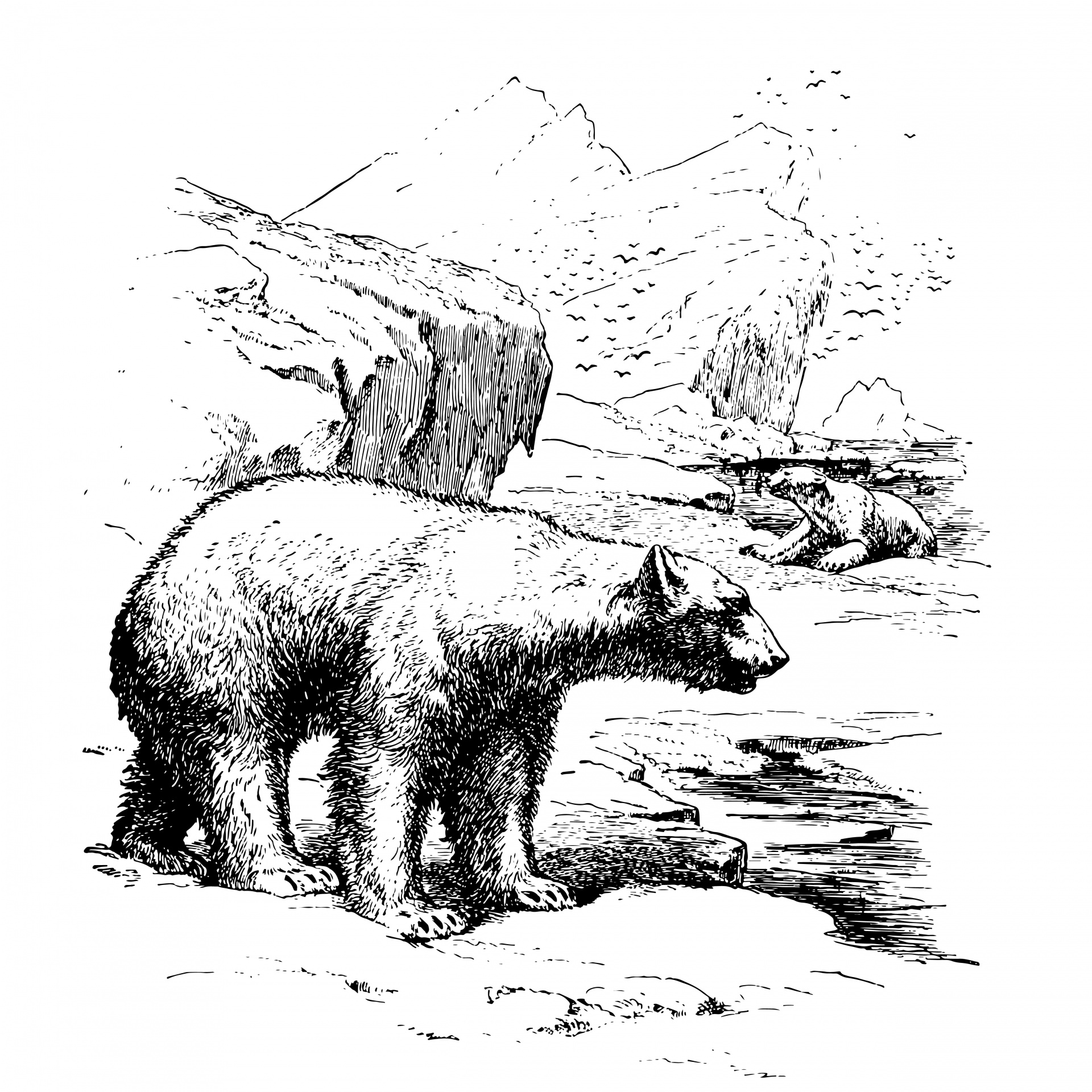 Vintage Polar Bear Clipart