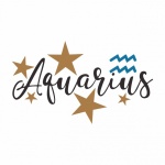 Aquarius Zodiac Birth Sign