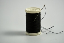 Spool Of Thread And Sewing Needle