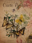 Butterflies Vintage Floral Postcard