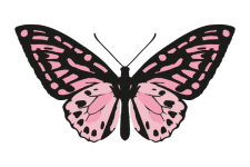Butterfly Pretty Clipart