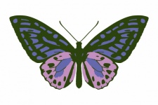 Butterfly Pretty Clipart