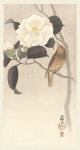 Camellia Japanese Vintage Art