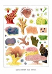 Corals Barrier Reef Poster
