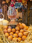 Eggs At The Market