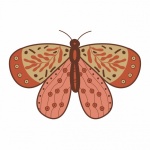 Esoteric Mystic Moth Clipart