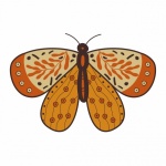 Esoteric Mystic Moth Clipart