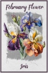February Flower Poster For Greeting